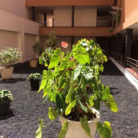 Apartamento Martianez *